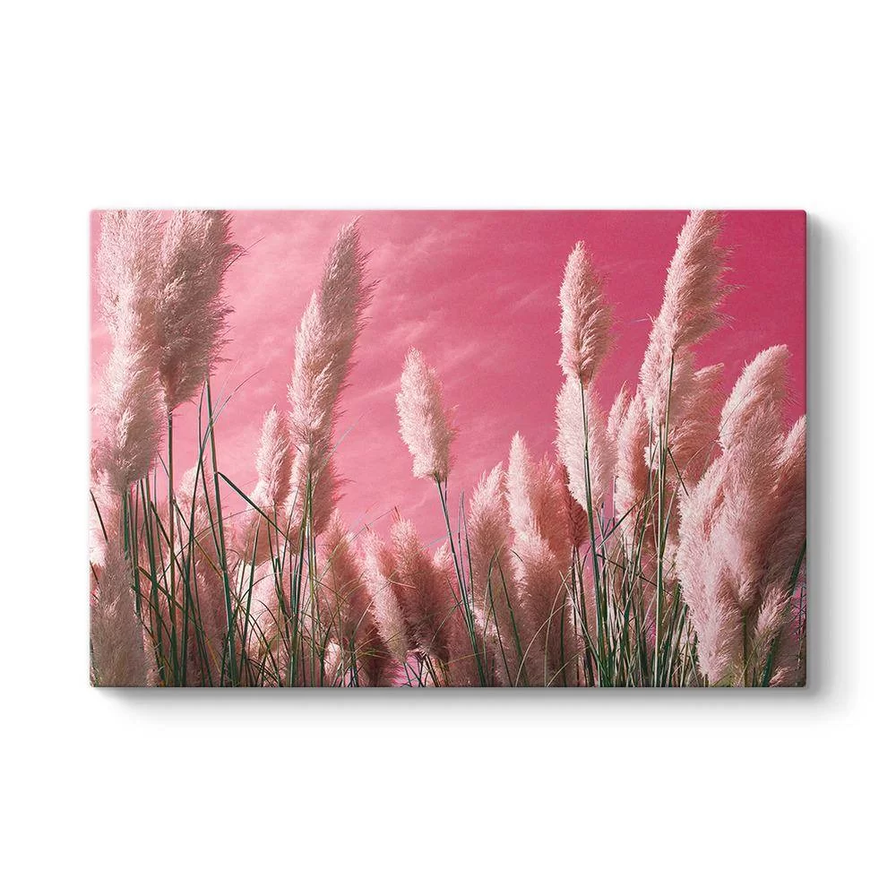 Pembe Zeminli Pampas Tablosu